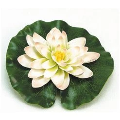 Nénuphar Ubbink Blanc Ø 20 Cm