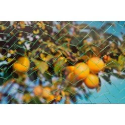 UBBINK Filet Anti-oiseaux MONOfilament - HDPE, Vert - 7,5 G/m² - 10 X 4 M 9 UBBINK Filet Anti-oiseaux MONOfilament - HDPE, Vert - 7,5 G/m² - 10 X 4 M -Pas Cher UBBINK Magasin 27546269 5