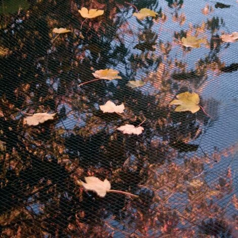 Filet De Couverture De Bassin PE 3x4 M Ubbink - N/A 2 Filet De Couverture De Bassin PE 3x4 M Ubbink - N/A – Image 2