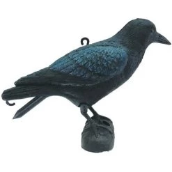 Statue De Corbeau 27 Cm Noir Ubbink