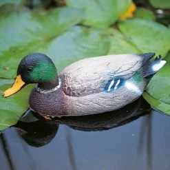 Ubbink Canard Sauvage Mâle