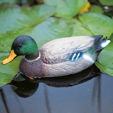 Ubbink Canard Sauvage Mâle 1 Ubbink Canard Sauvage Mâle